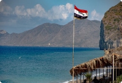 برنامج زيارات الدخل السوري